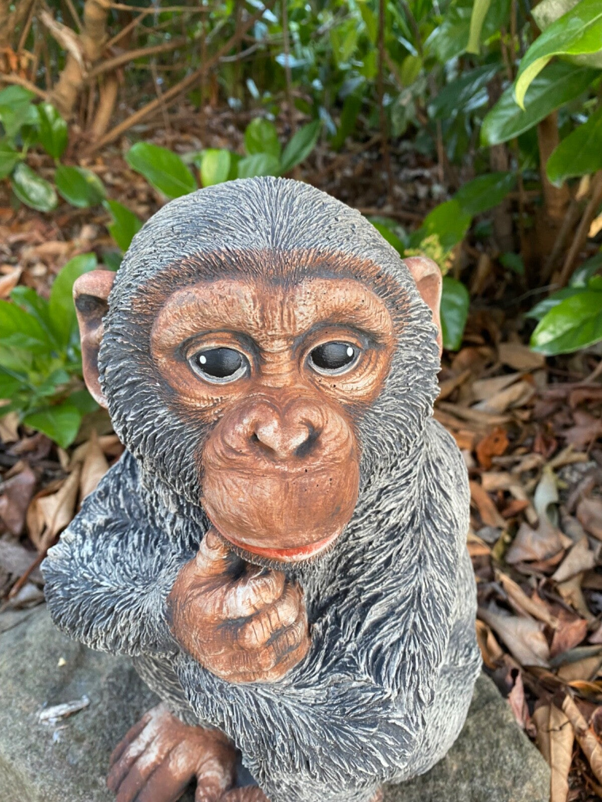 Monkey Chimpanzee Concrete Garden Statue – Australian Made
