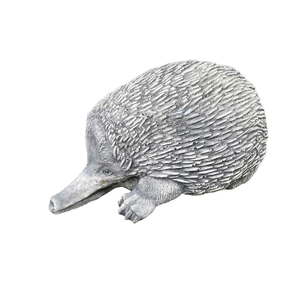 Australian Echidna Statue Ornament Animal Concrete Cement Garden Australian Made
