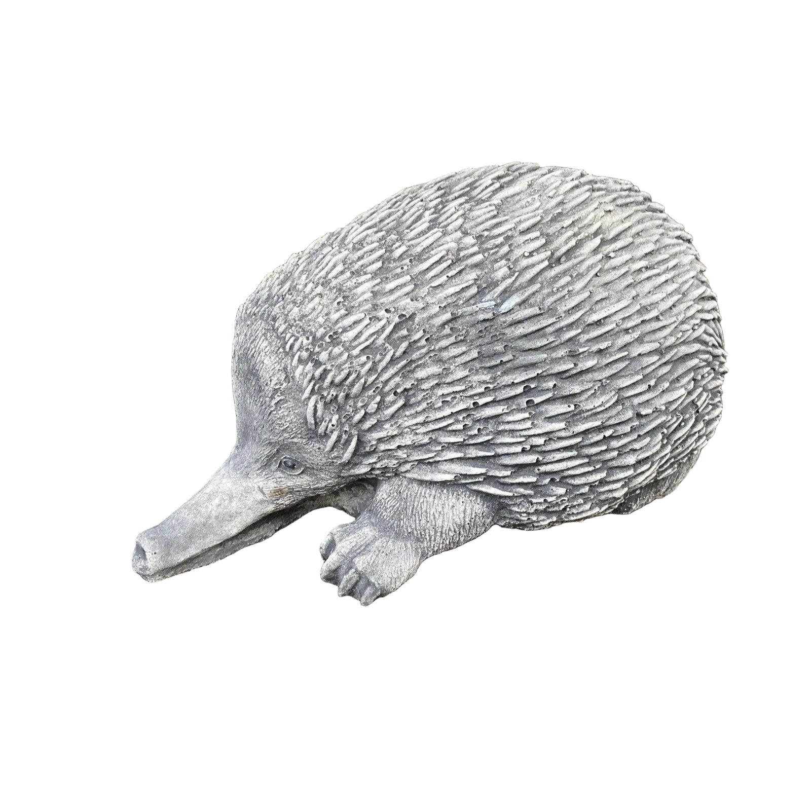 Australian Echidna Statue Ornament Animal Concrete Cement Garden Australian Made