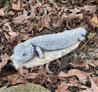 Shingleback Lizard Statue Ornament Animal Cement Concrete Garden Australian Made