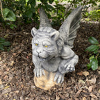 Gargoyle Statue Statue Ornament Animal Concrete Cement Garden Australian Made