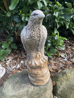 Eagle Bird Statue Ornament Animal Concrete Garden Australian Made