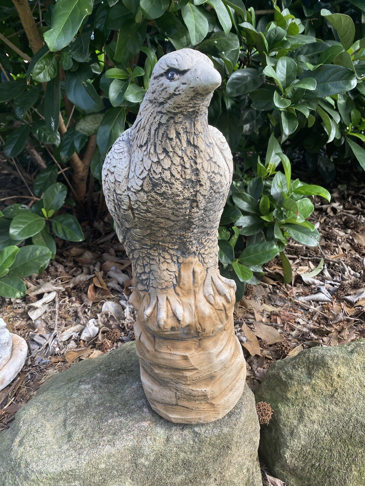 Eagle Bird Statue Ornament Animal Concrete Garden Australian Made