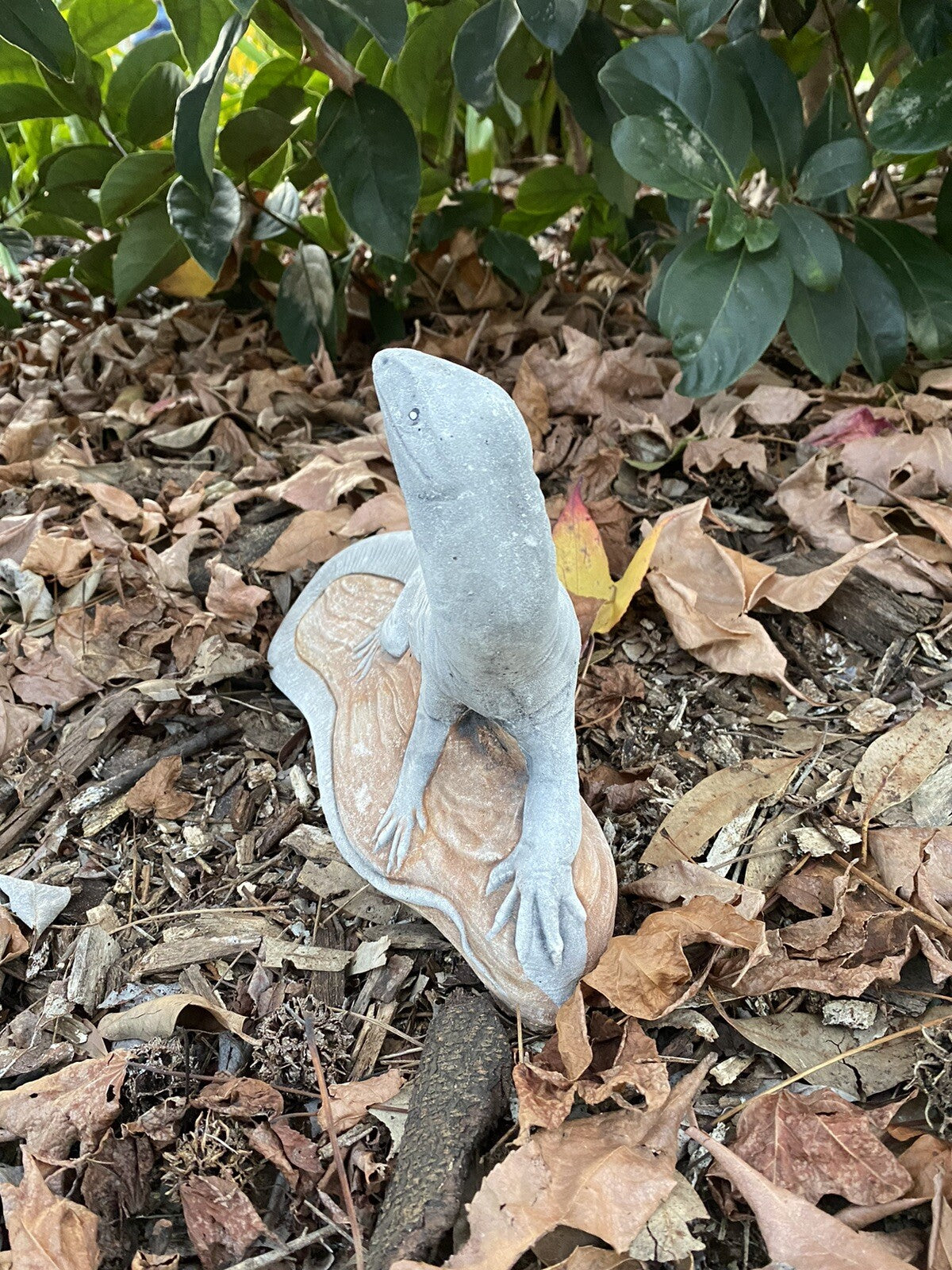 Goanna Basking Lizard Statue Ornament Animal Concrete Garden Australian Made