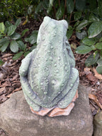 Frog and BUB Animal Concrete Cement Garden Statue Australian Made