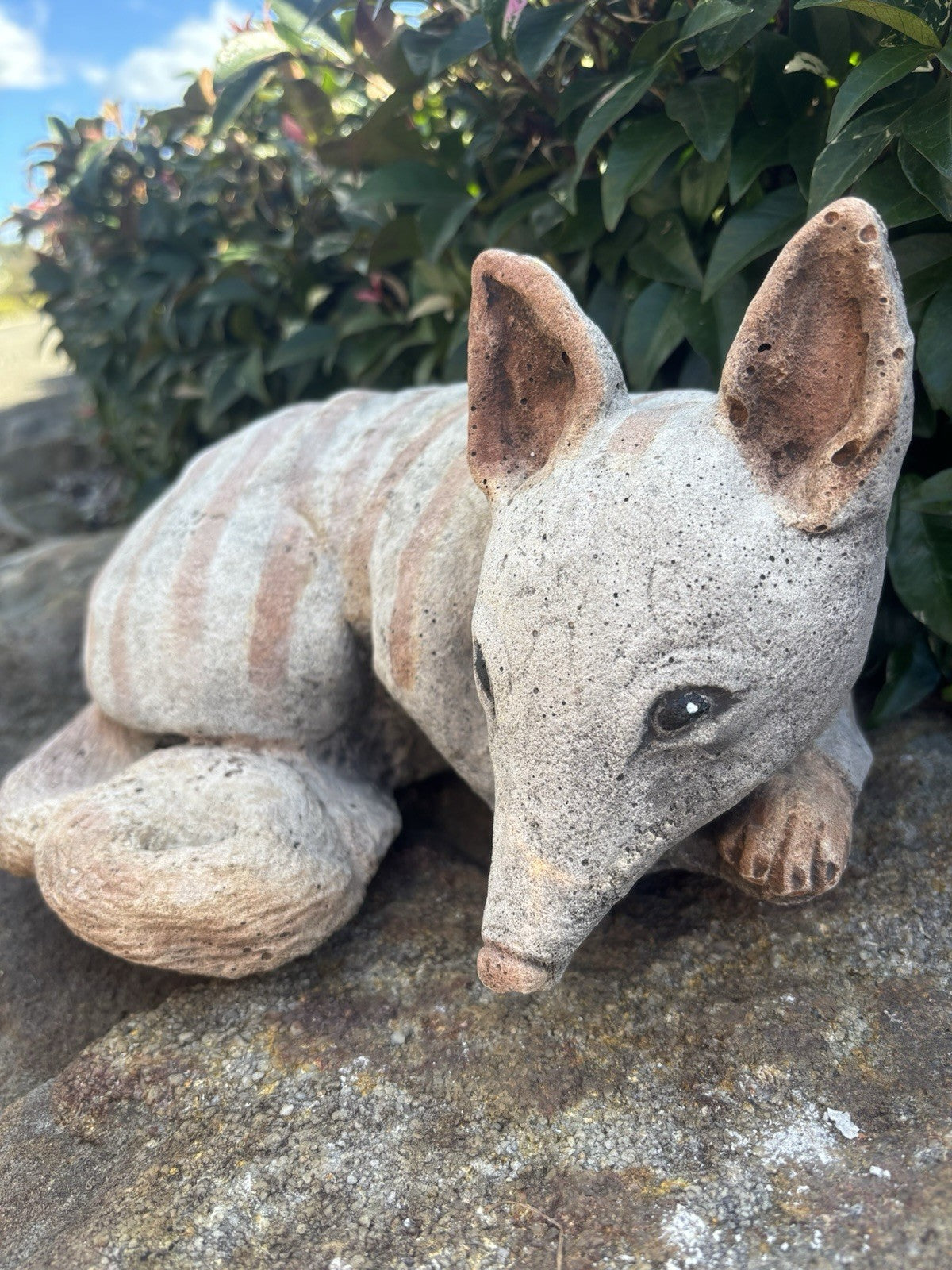 Australian Made Concrete Numbat Garden Statue | Outdoor Native Wildlife Ornament