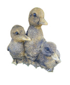 3 Duck Duckling Fowl Statue Ornament Farm Animal Concrete Garden Australian Made