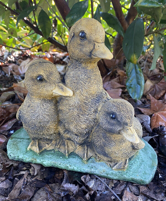 3 Duck Duckling Fowl Statue Ornament Farm Animal Concrete Garden Australian Made