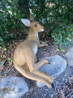 Australian Kangaroo Laying Garden Statue Ornament Figurine 69 cm