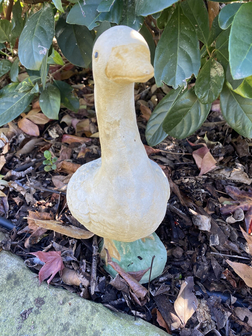 Duck Duckling Fowl Statue Ornament Farm Animal Concrete Garden Australian Made