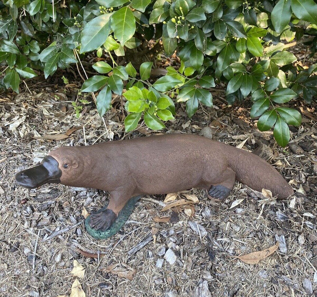 Platypus Statue Ornament Animal Concrete Cement Garden Australian Made Brown