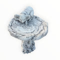 Concrete Koala Bird Bath | Australian Wildlife Garden Feature Pick Up Only