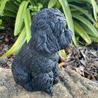 Cavoodle Memorial Statue Ornament Animal Concrete Garden Australian Made