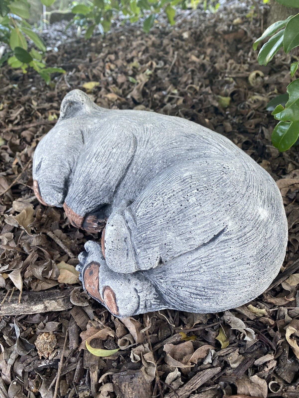 Australian Wombat Asleep Statue Ornament Animal Concrete Garden Australian Made