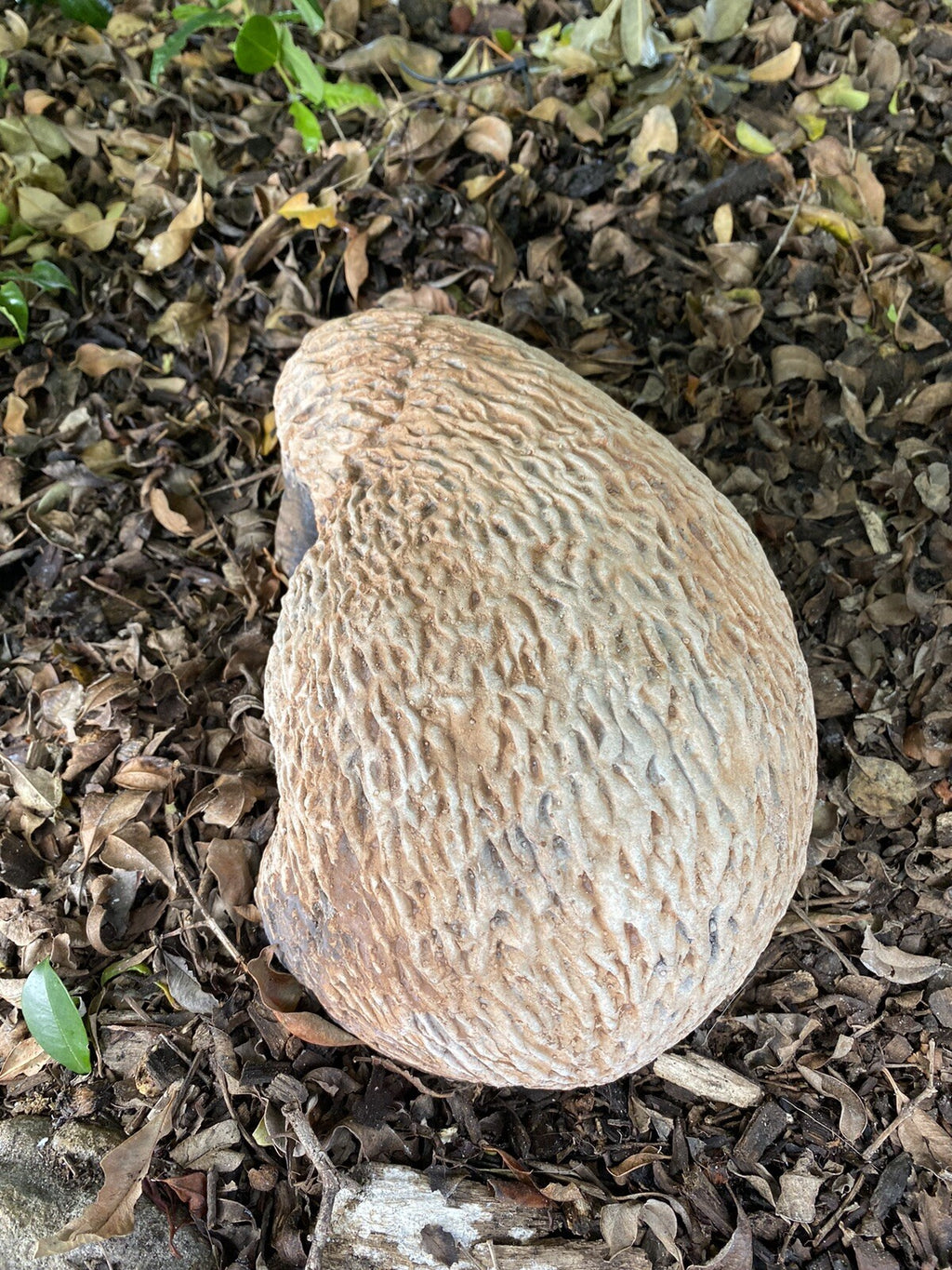 Australian Echidna Animal Concrete Cement Garden Statue Australian Made