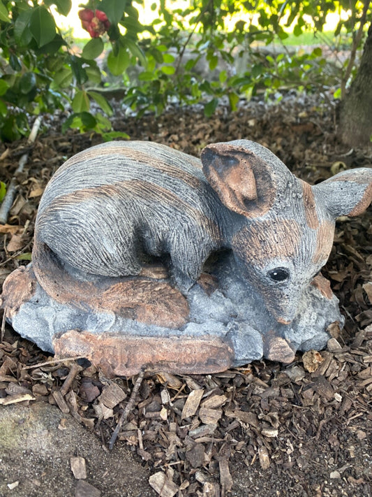Australian Bilby Statue Ornament Animal Concrete Cement Garden Australian Made