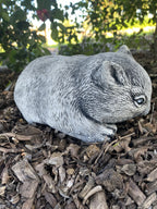 Australian Wombat Grazing Statue Ornament Animal Concrete Garden Australian Made
