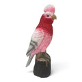 Resin Galah Parrot Bird Garden Statue Australian Bird Ornament 30cm