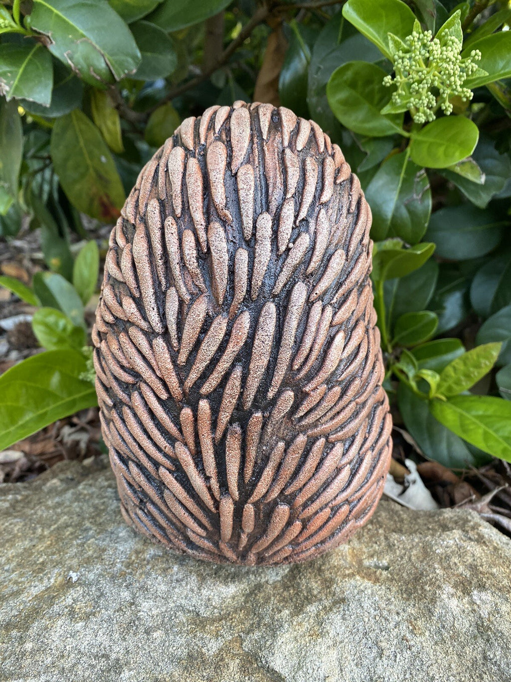 Echidna Sitting Garden Statue Ornament Animal Concrete Cement Australian Made
