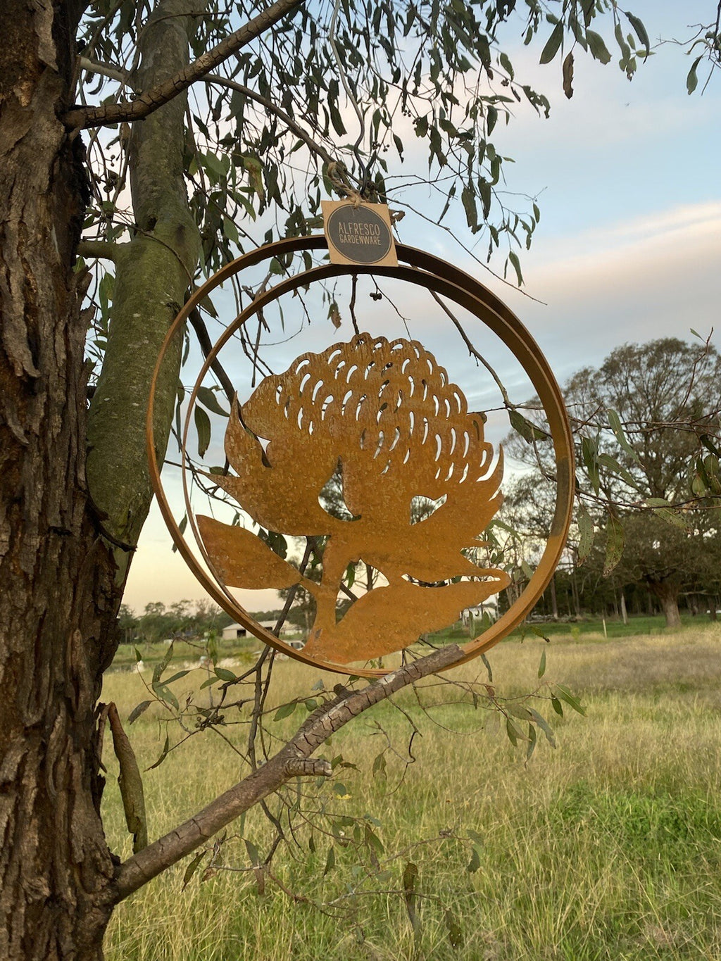 Australian Waratah Flower Round Rust Corten Steel Metal Hanging Double Ring 34cm