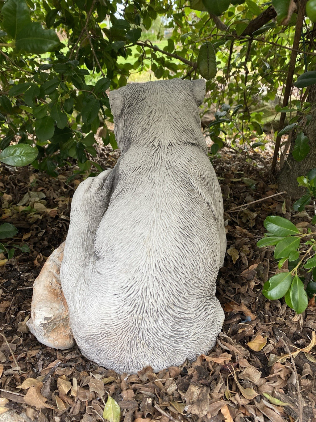 AUSTRALIAN SCRATCHING WOMBAT ANIMAL CONCRETE GARDEN STATUE ORNAMENT FIGURINE