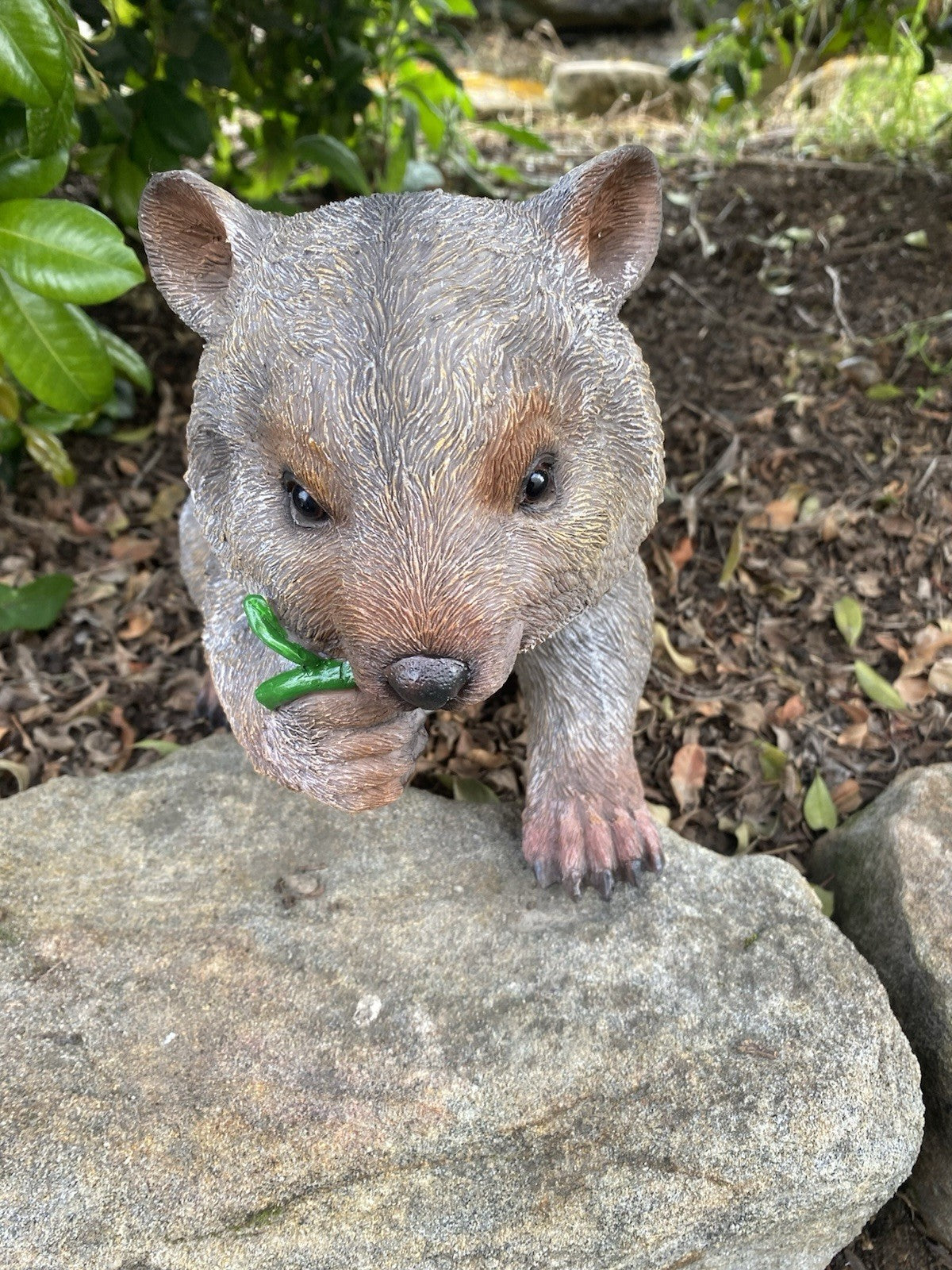AUSTRALIAN WOMBAT EATING A LEAF GARDEN STATUE