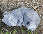 Australian Wombat Asleep Statue Ornament Animal Concrete Garden Australian Made