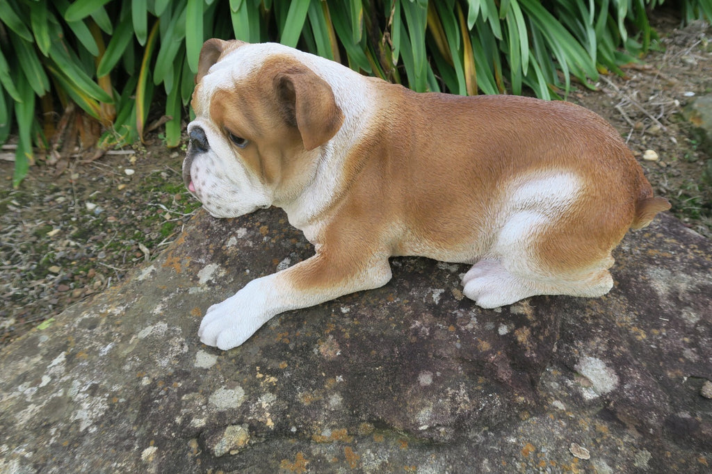 English Bulldog Statue Dog Doggy Memorial Ornament Home Decor Brown and  White