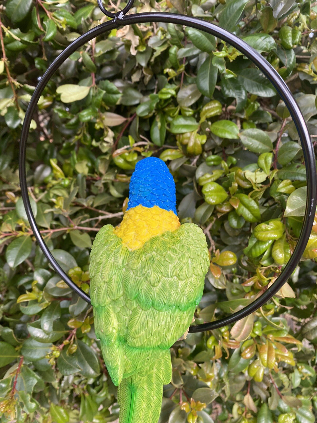 Australian Rainbow Lorikeet Bird in Ring Birds Statue Garden Ornament Decor 22cm