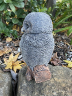 Fluffy Owl Statue Ornament Animal Concrete Garden Australian Made