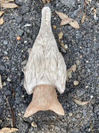 Hanging Bat Flying Fox Statue Concrete Garden Ornament Australian Made