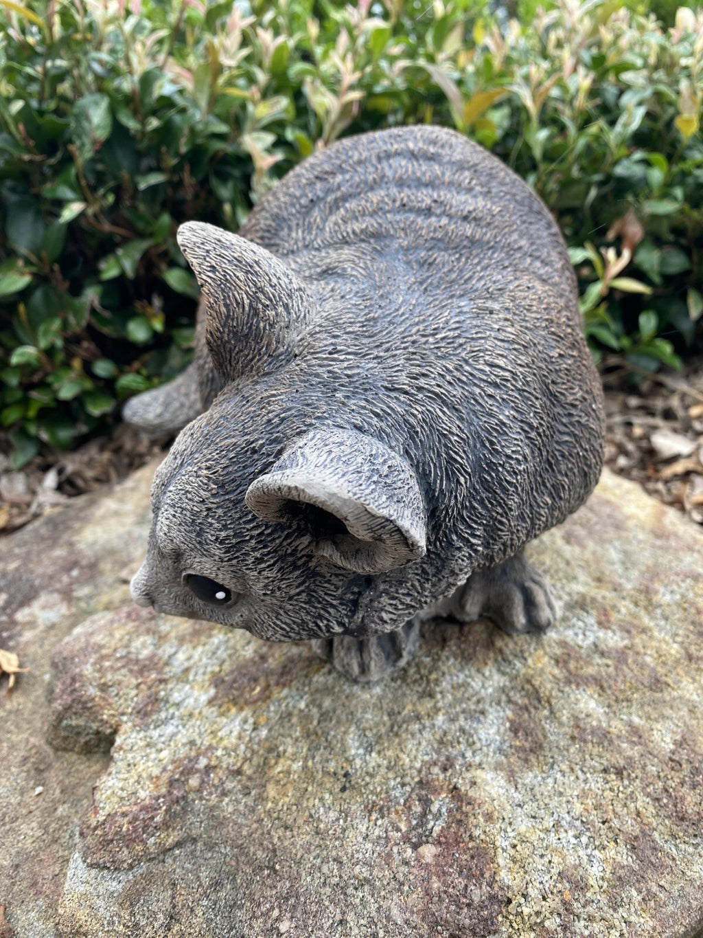 Australian Possum Concrete Cement Garden Statue Ornament Sculpture Home décor