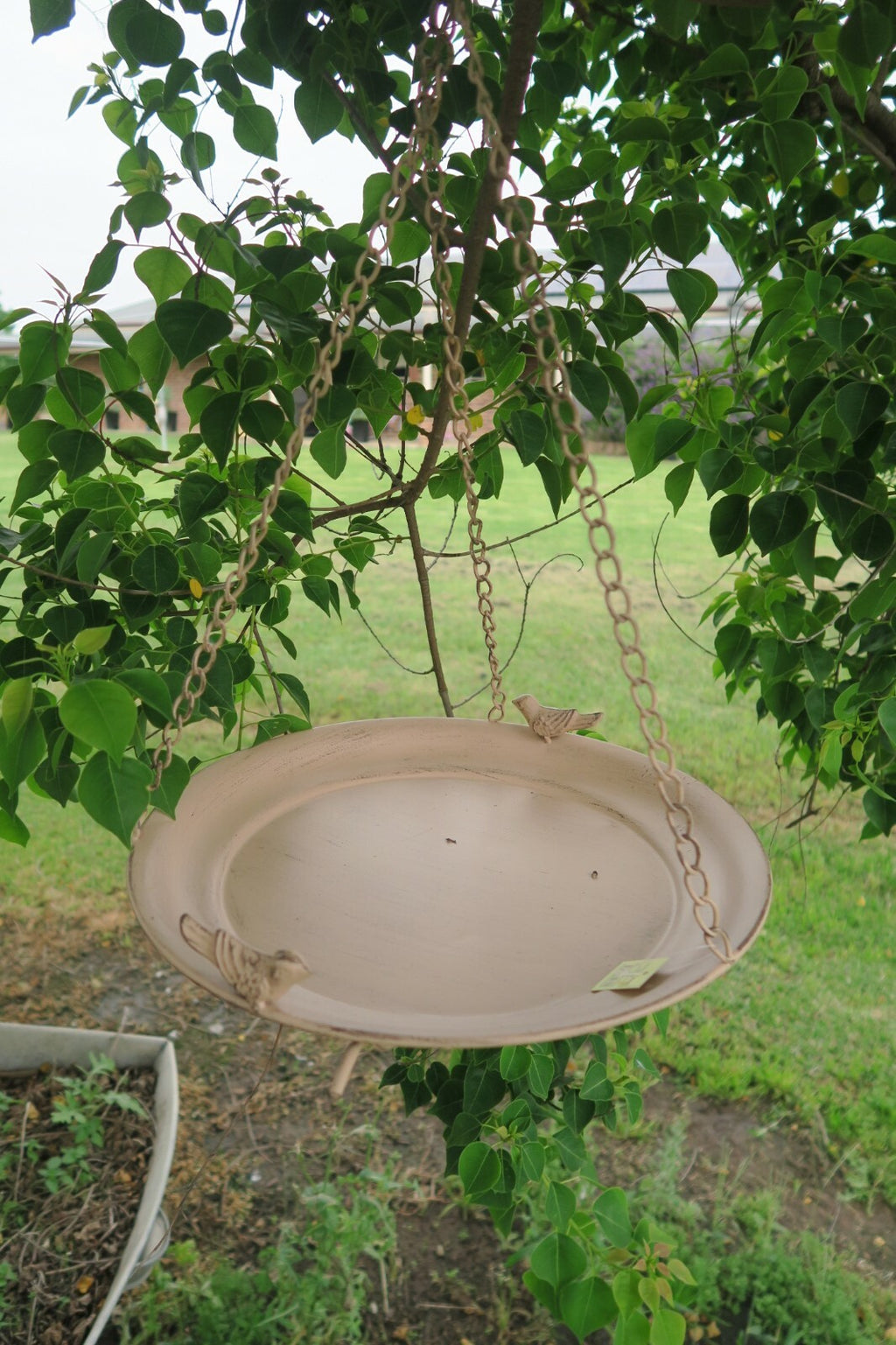 Wild Bird Feeder Wren Garden Outdoor Metal Hanging with Bird Design  35x35X55 cm