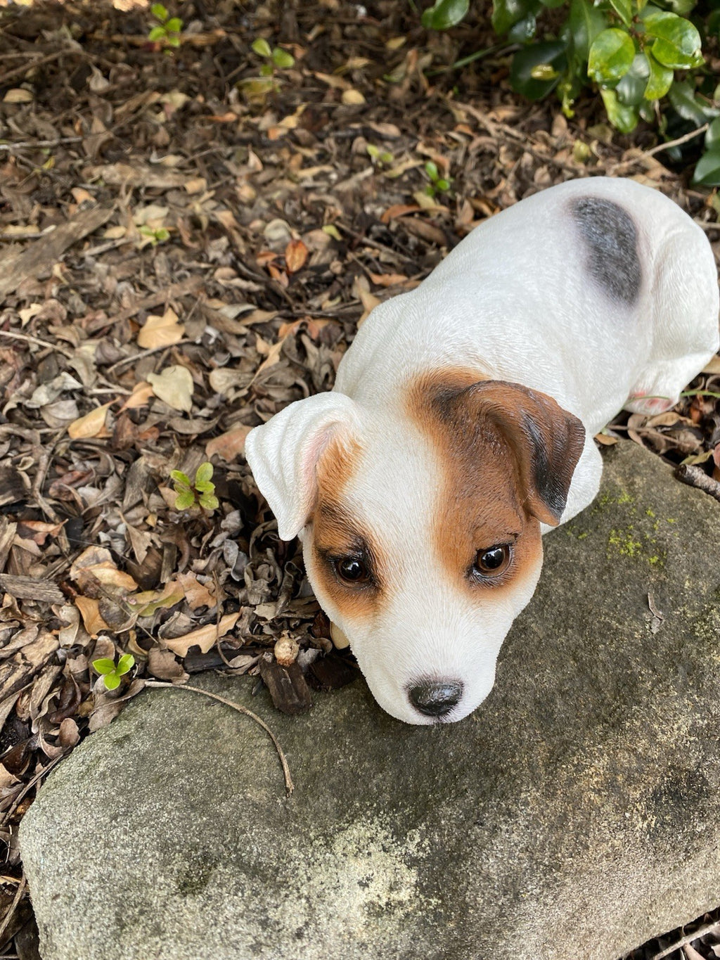 Jack Russell Fox Terrier Dog Memorial Garden Statue