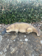 Resin Platypus Garden Statue | Australian Wildlife Ornament | Outdoor Decor 30cm