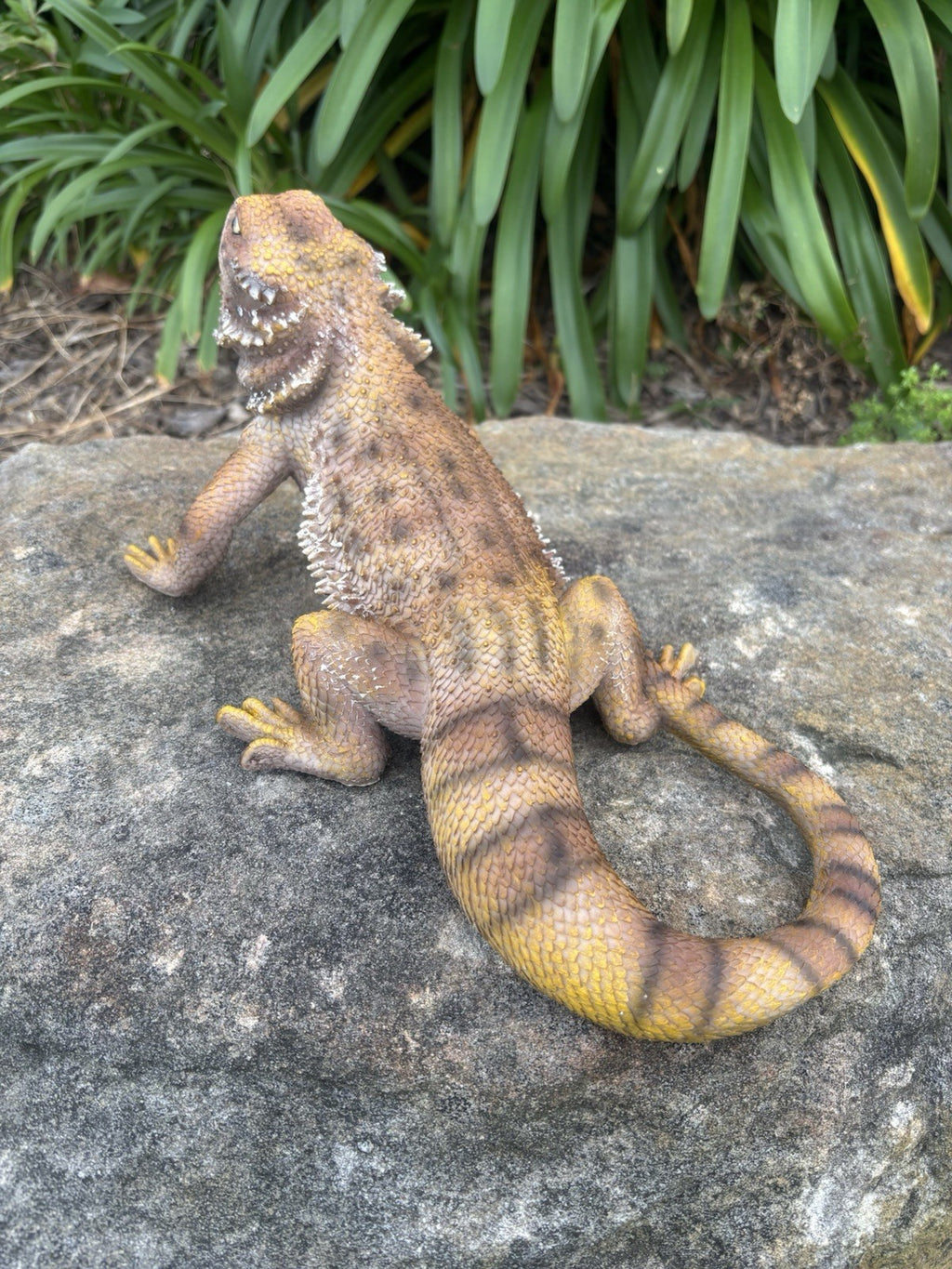 Bearded Dragon Lizard Garden Statue Ornament Figurine Life Size Figurine