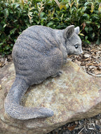 Australian Possum Concrete Cement Garden Statue Ornament Sculpture Home décor