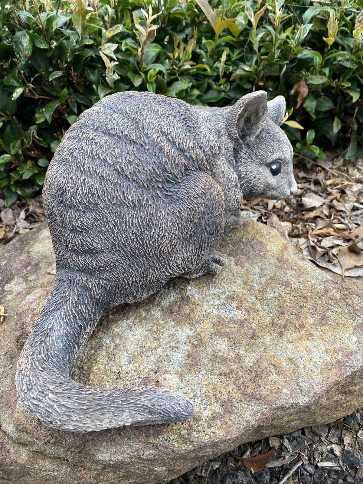 Australian Possum Concrete Cement Garden Statue Ornament Sculpture Home décor
