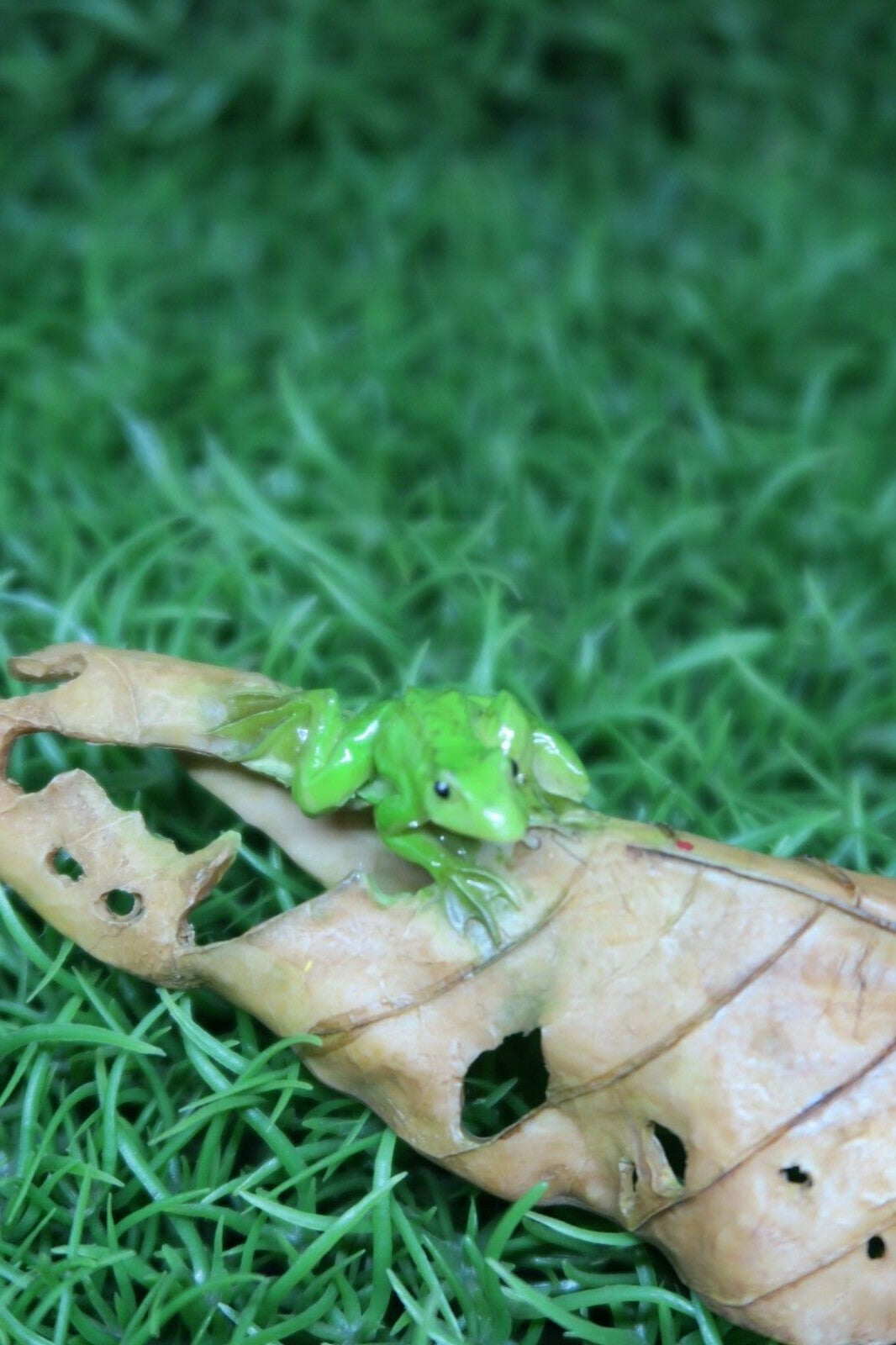 BABIES OF THE FORREST SLEEPING ON A LEAF WITH FROG AISLINN STATUE ORNAMENT