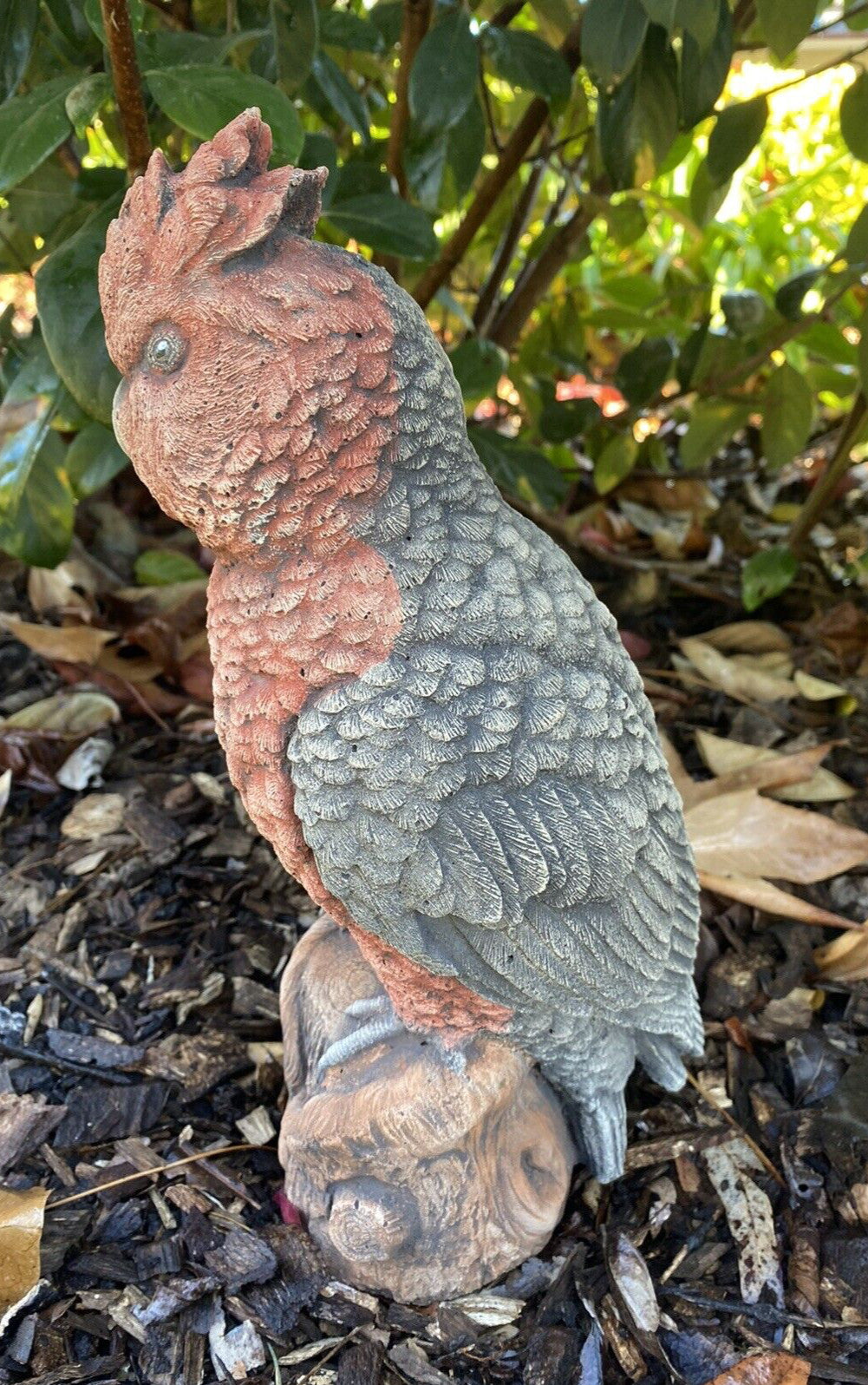 Galah Bird Statue Parrot Ornament Animal Concrete Garden Australian Made