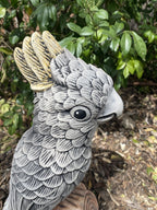 Sulfa Crested Cockatoo Statue Ornament Animal Concrete Garden Australian Made G