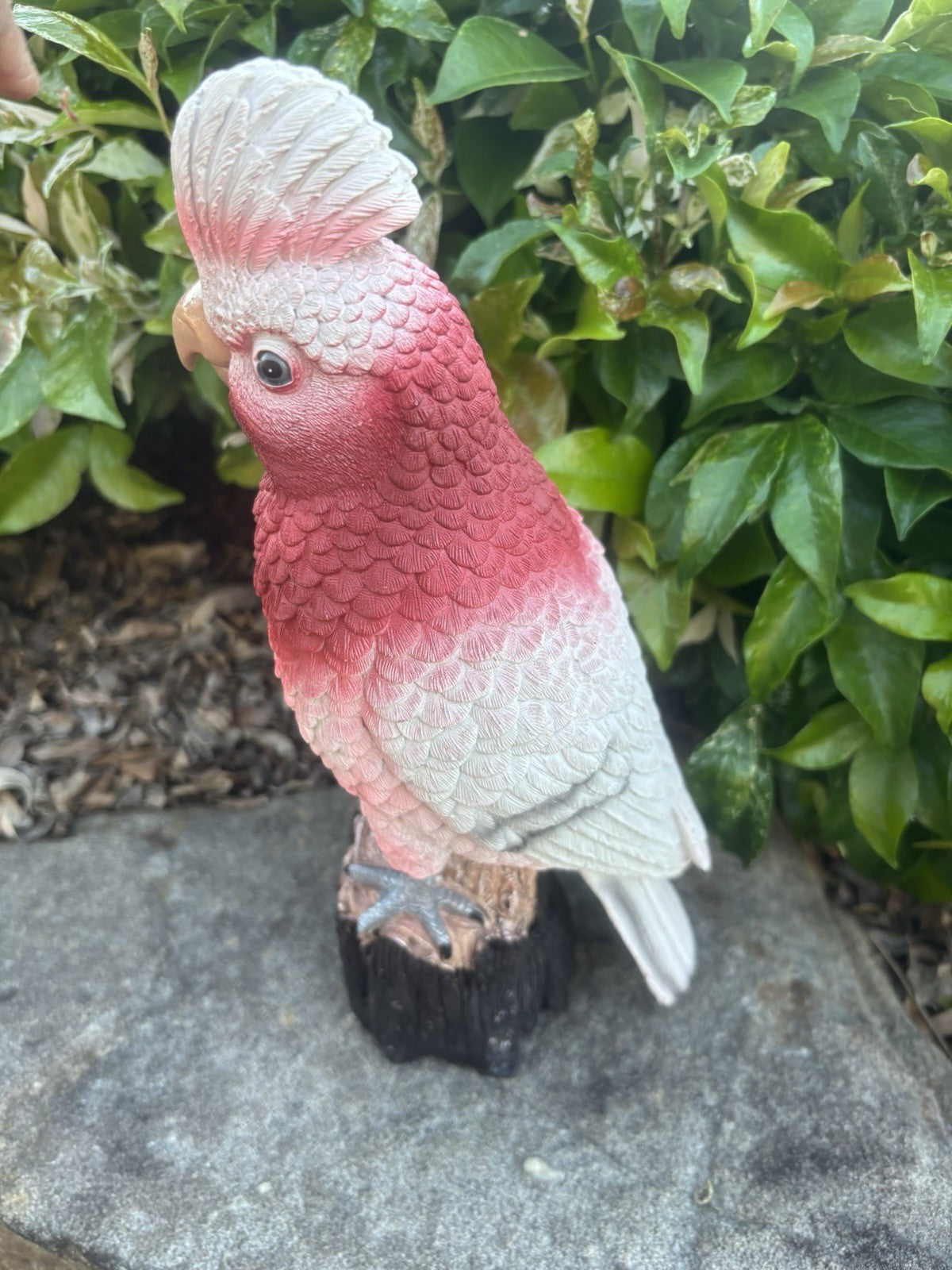Resin Galah Parrot Bird Garden Statue Australian Bird Ornament 30cm