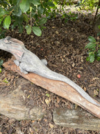 Frill Neck Lizard Statue Ornament Animal Concrete Garden Australian Made Large