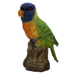 AUSTRALIAN RAINBOW LORIKEET BIRD ANIMAL GARDEN STATUE ORNAMENT  MONEY BOX