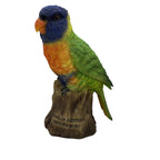 AUSTRALIAN RAINBOW LORIKEET BIRD ANIMAL GARDEN STATUE ORNAMENT  MONEY BOX