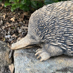 Australian Echidna Statue Ornament Animal Concrete Cement Garden Australian Made