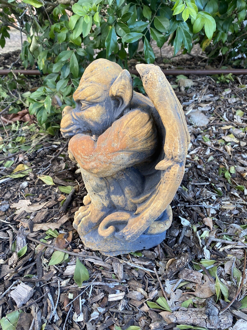 Gargoyle Statue Animal Concrete Cement Garden Australian Made Gery
