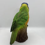 AUSTRALIAN RAINBOW LORIKEET BIRD ANIMAL GARDEN STATUE ORNAMENT  MONEY BOX