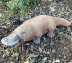 Platypus Statue Ornament Animal Concrete Cement Garden Australian Made Large