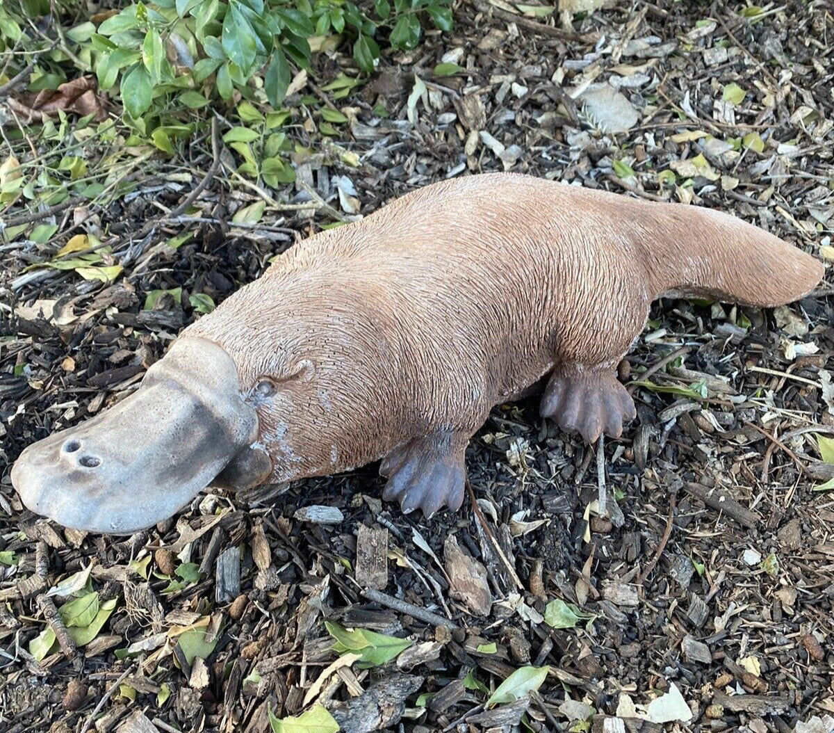 Platypus Statue Ornament Animal Concrete Cement Garden Australian Made Large